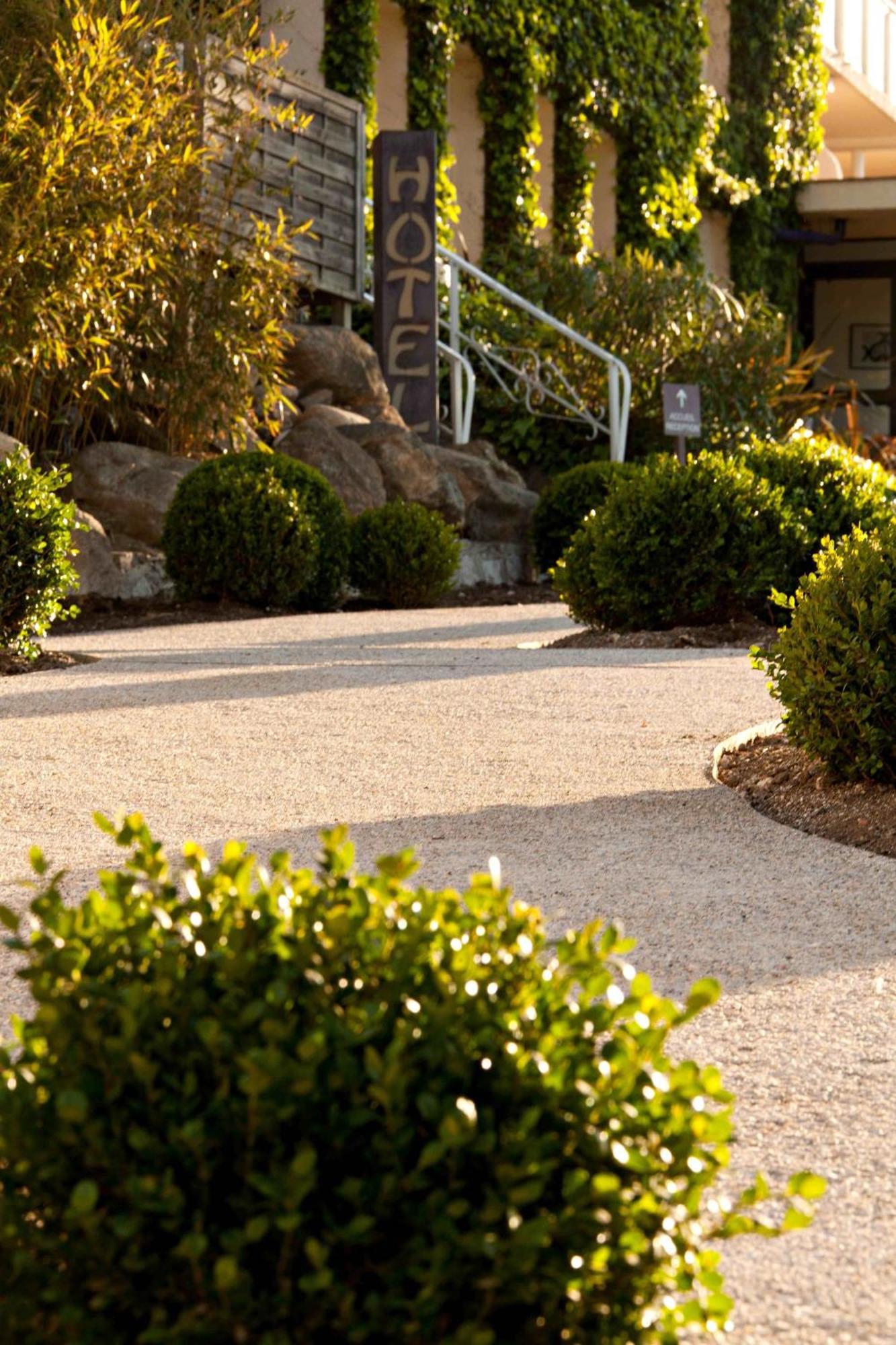 Hôtel&Spa Les Mouettes Argelès-sur-Mer Exterior foto